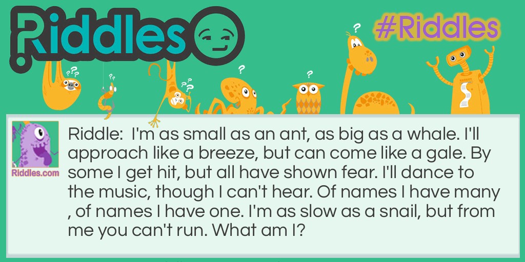 What am I? #2 Riddle Meme.