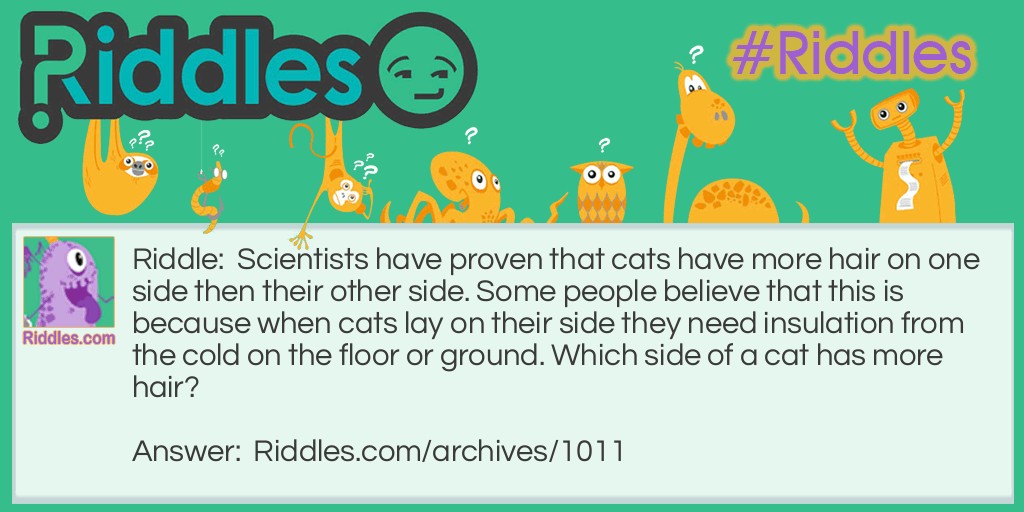 Which Side of a Cat Riddle Meme.