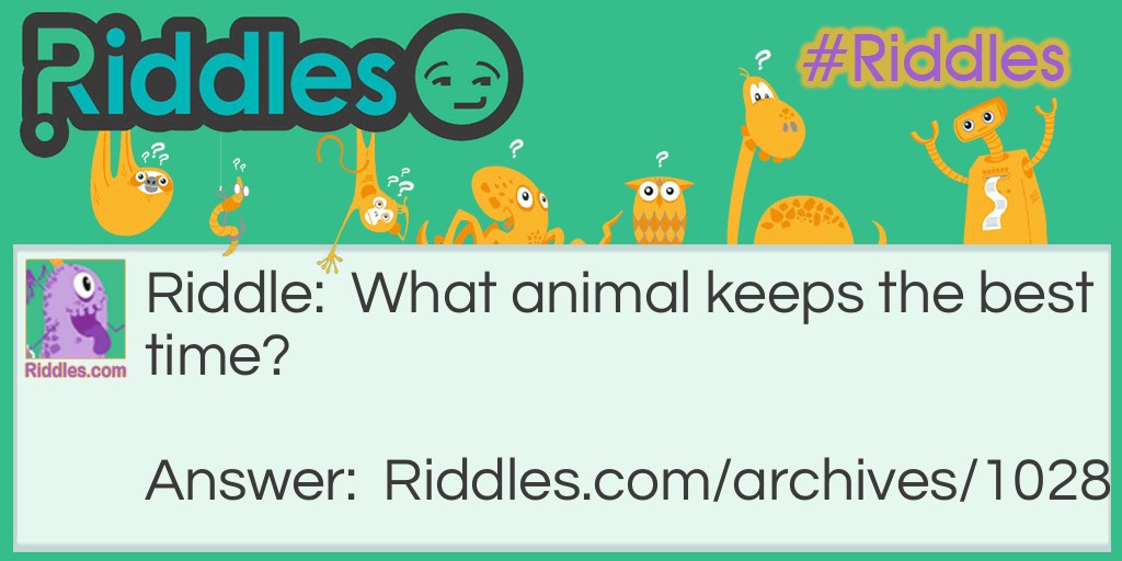What animal keeps the best time? Riddle Meme.