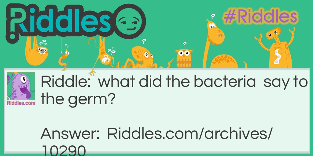                                      SILLY  bacteria Riddle Meme.