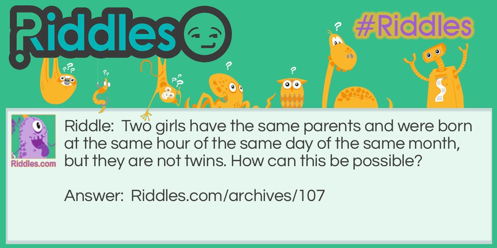 Not Twins Riddle Meme.