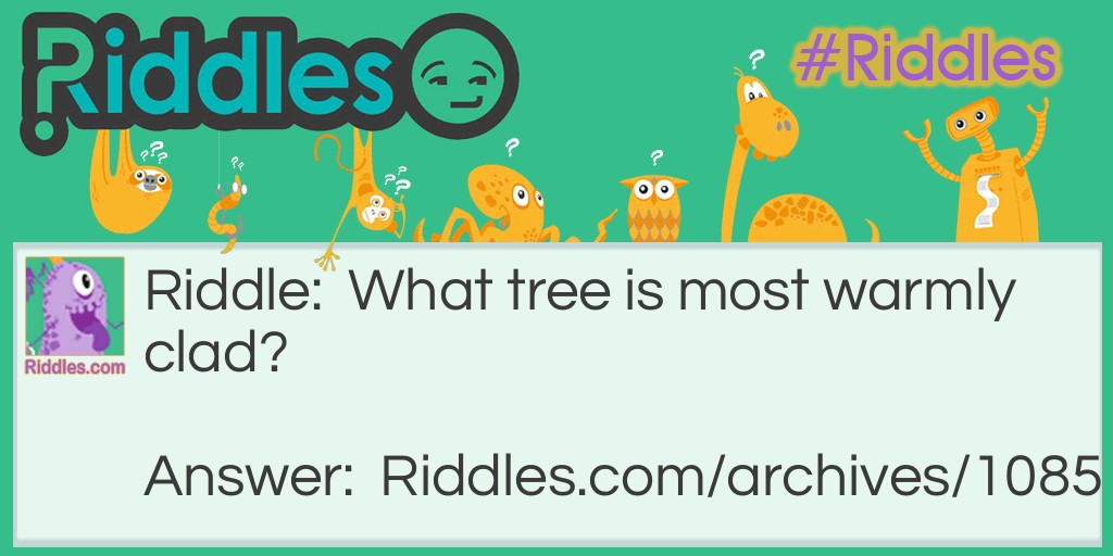 What tree is most warmly clad? Riddle Meme.