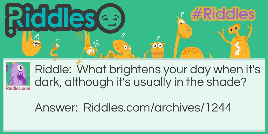 It brightens your day Riddle Meme.