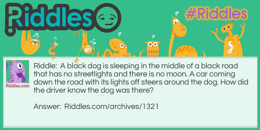 Sleeping Black Dog Riddle Meme.