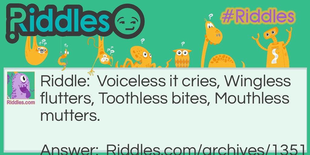 Voiceless yet it sometimes cries Riddle Meme.