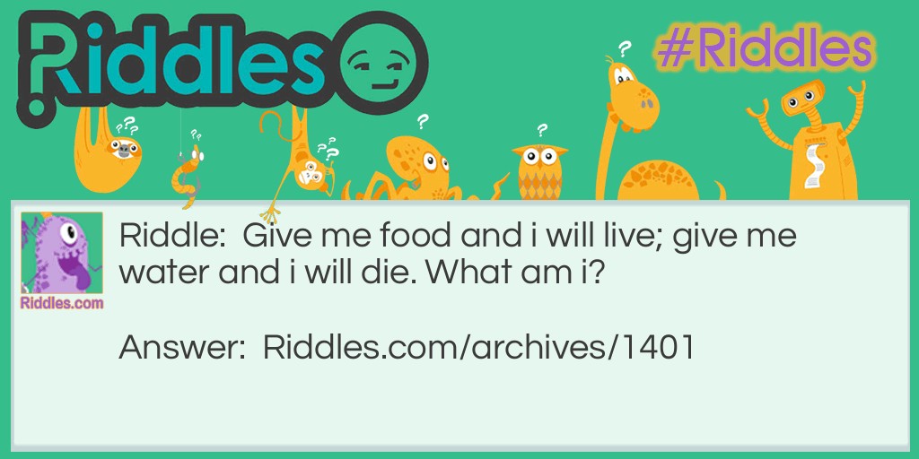 Give me food! Riddle Meme.
