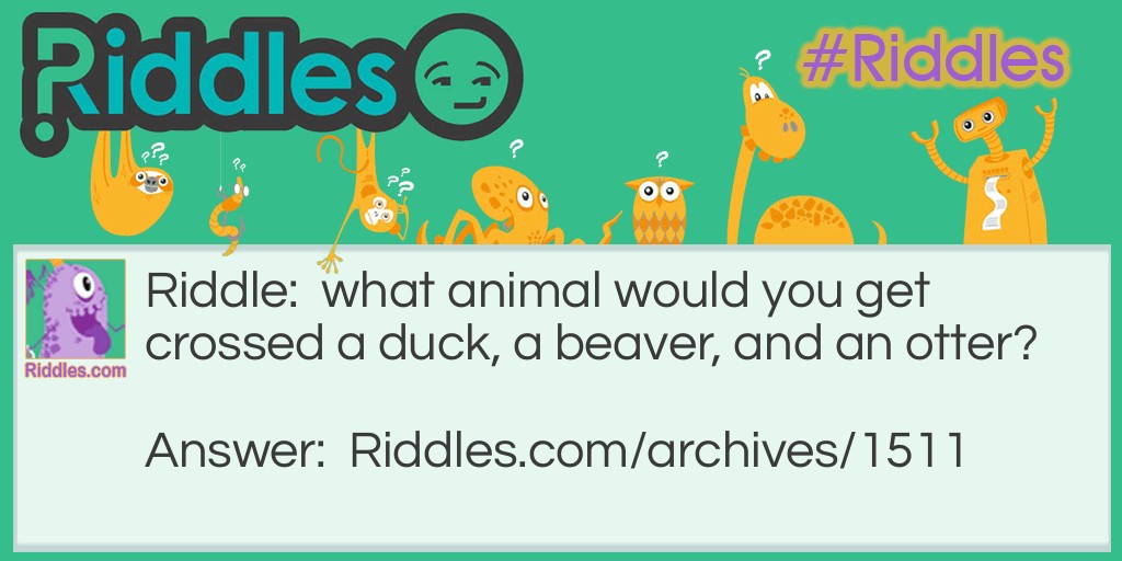 Odd Animals Riddle Meme.