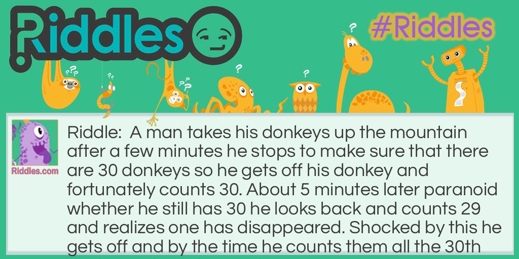 30 donkeys Riddle Meme.