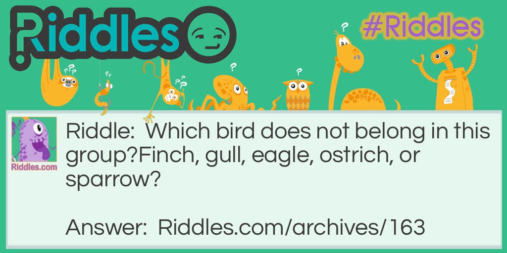Bad Bird! Riddle Meme.