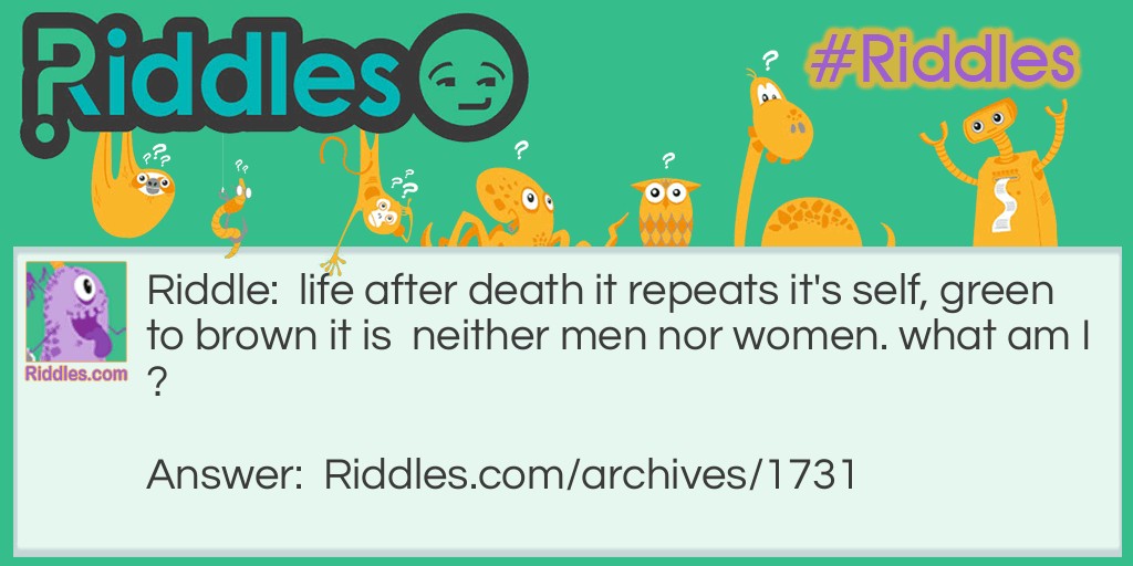 life after death Riddle Meme.