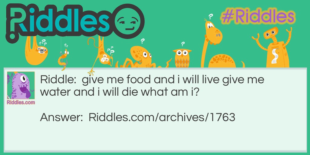 what am i? Riddle Meme.