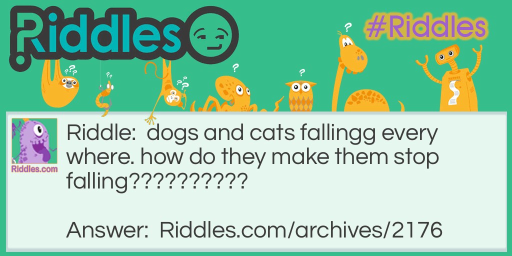 falling cats and dogs Riddle Meme.