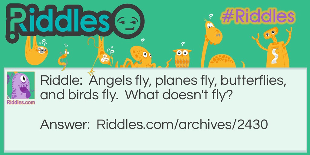 Fly Riddle Meme.