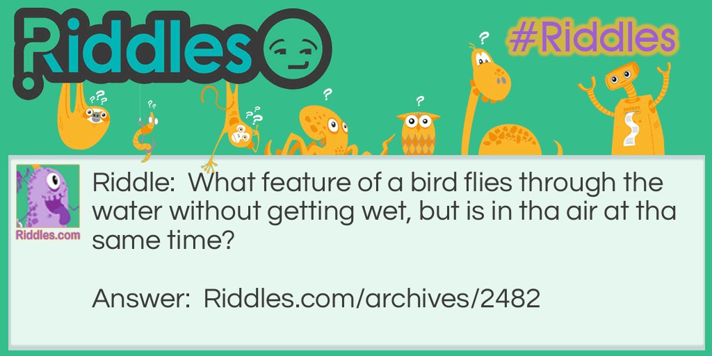 Wet Feathers?? Riddle Meme.