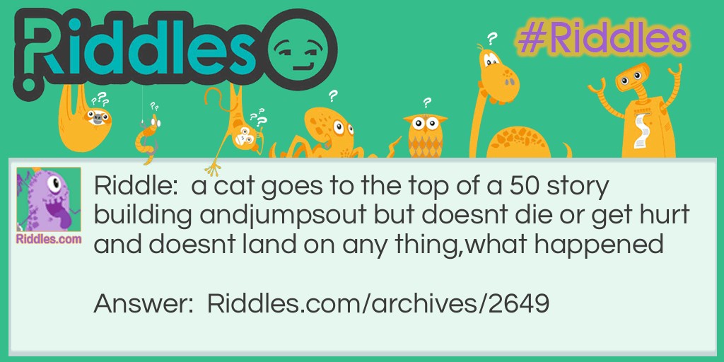 long lives a cat Riddle Meme.