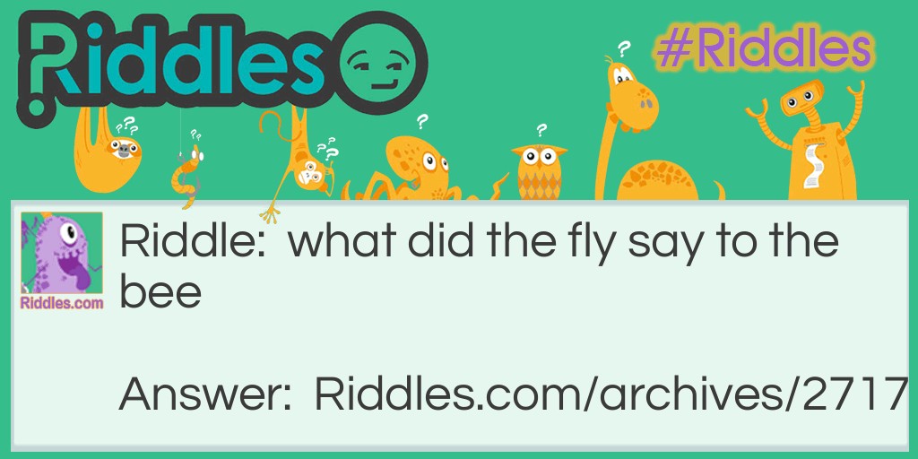 what did he say Riddle Meme.