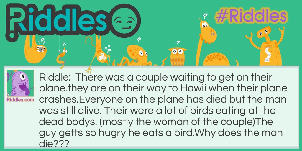 Planes Riddle Meme.