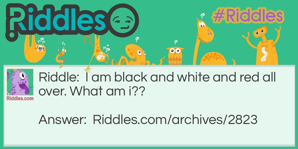 What am i? Riddle Meme.