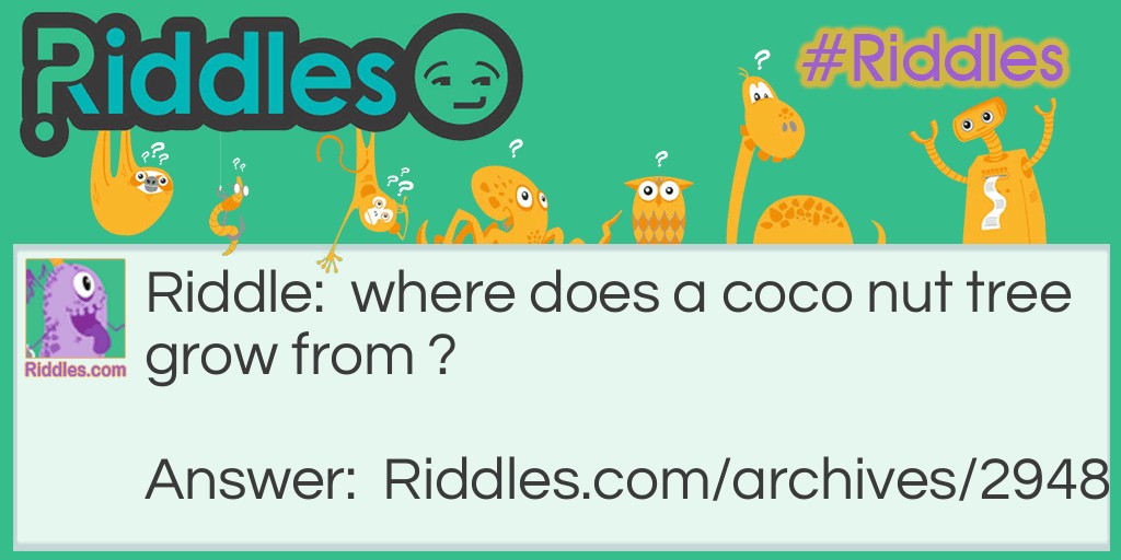 the coco nut tree Riddle Meme.