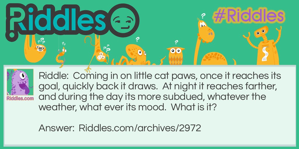 Cat paws Riddle Meme.