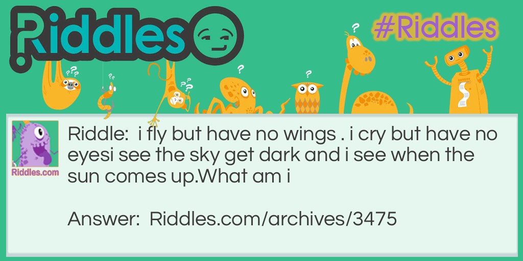 i fly Riddle Meme.