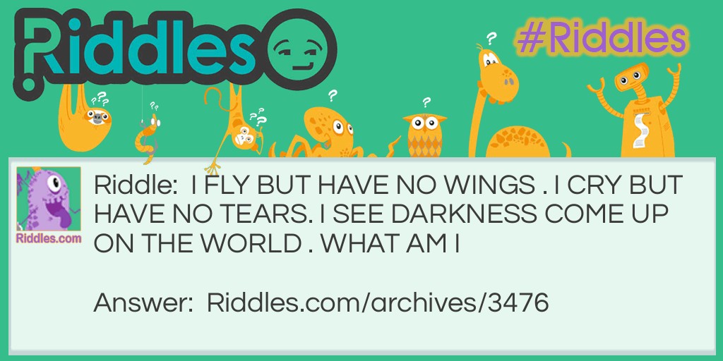  I FLY Riddle Meme.