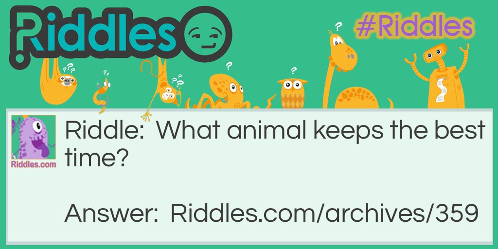 Animal Time Riddle Meme.