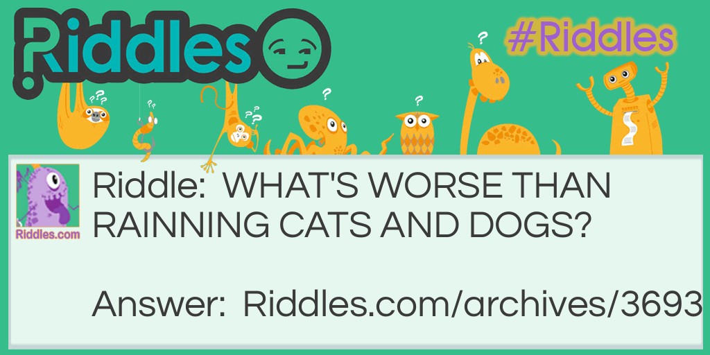 What's worse than raining cats and dogs riddle Riddle Meme.