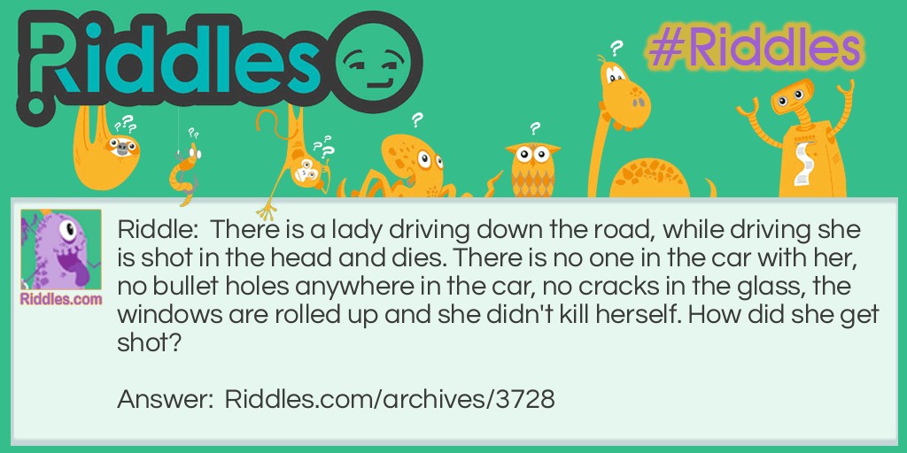 Driving Riddle Meme.