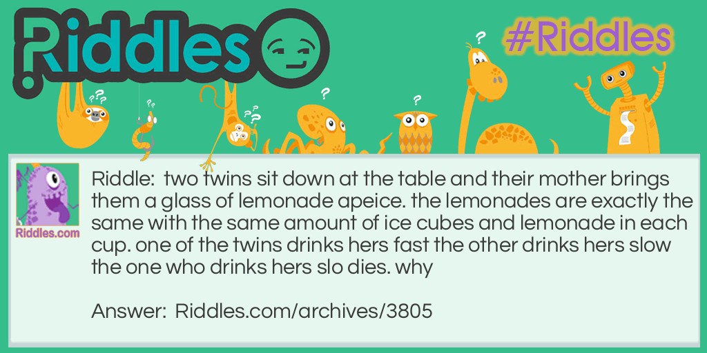 Twins Riddle Meme.