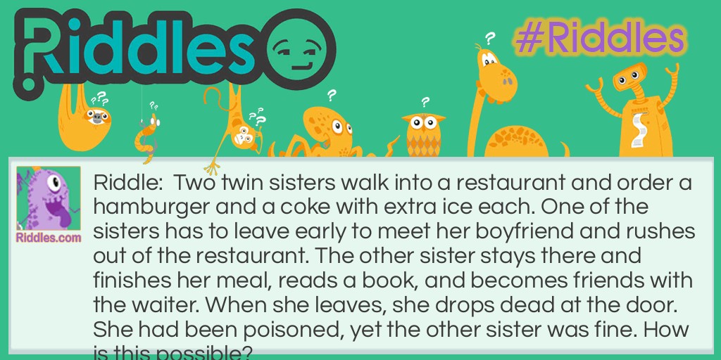 twin sisters Riddle Meme.
