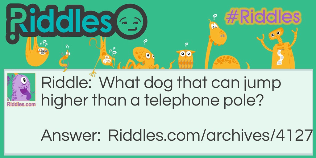 Canines and Calls Riddle Meme.