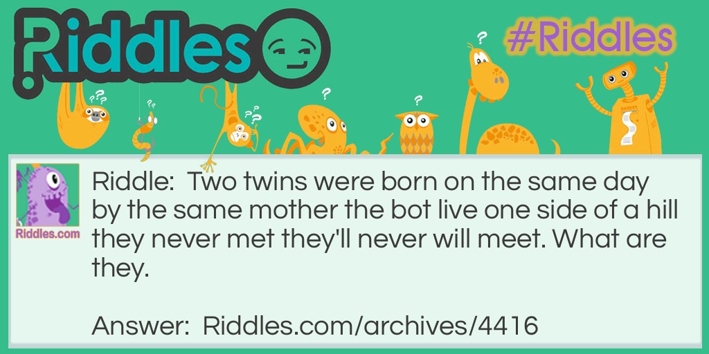 Twins Riddle Meme.
