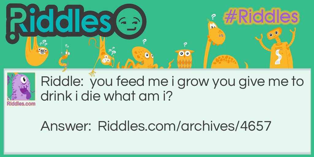 what am i ? Riddle Meme.