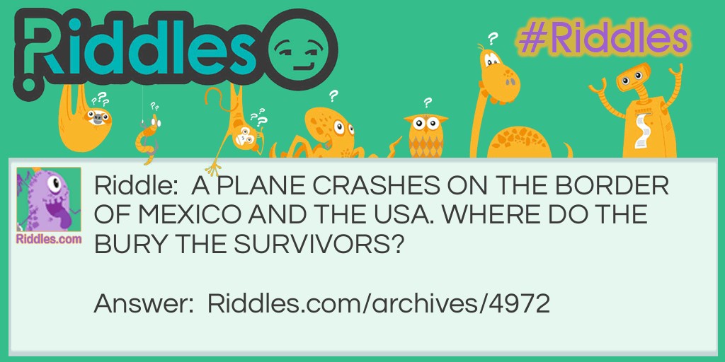 PLANE  CRASH Riddle Meme.