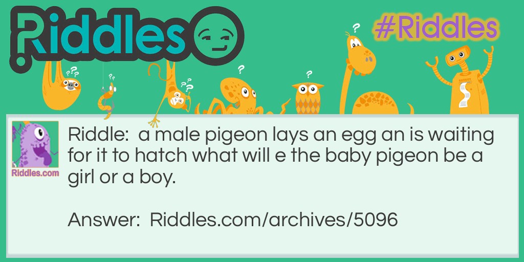 pigeon problem! Riddle Meme.