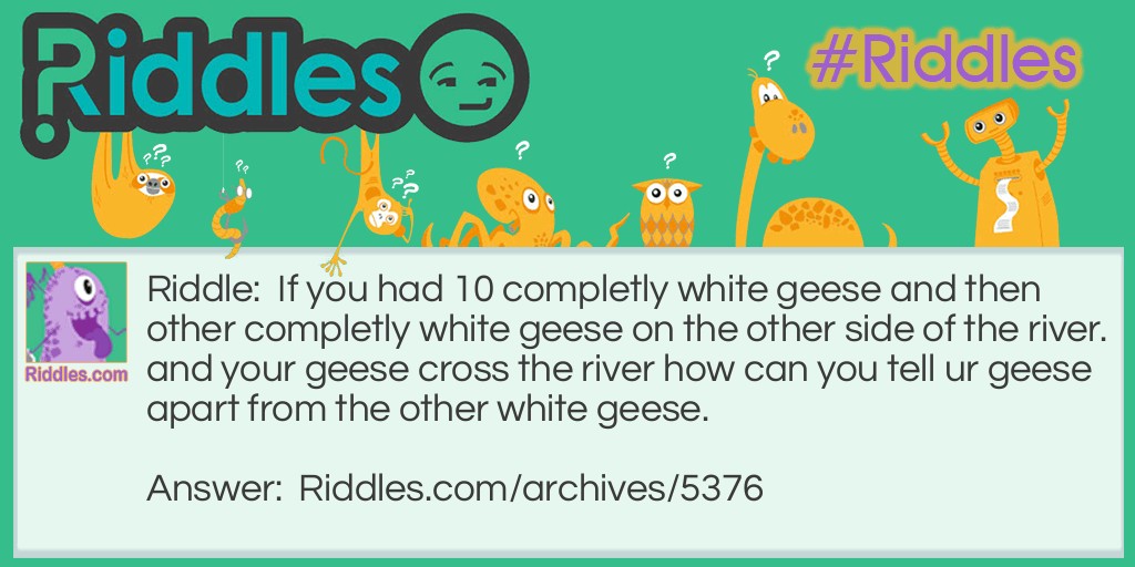 the geese Riddle Meme.