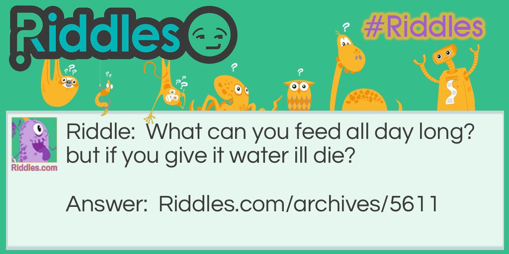 water Riddle Meme.