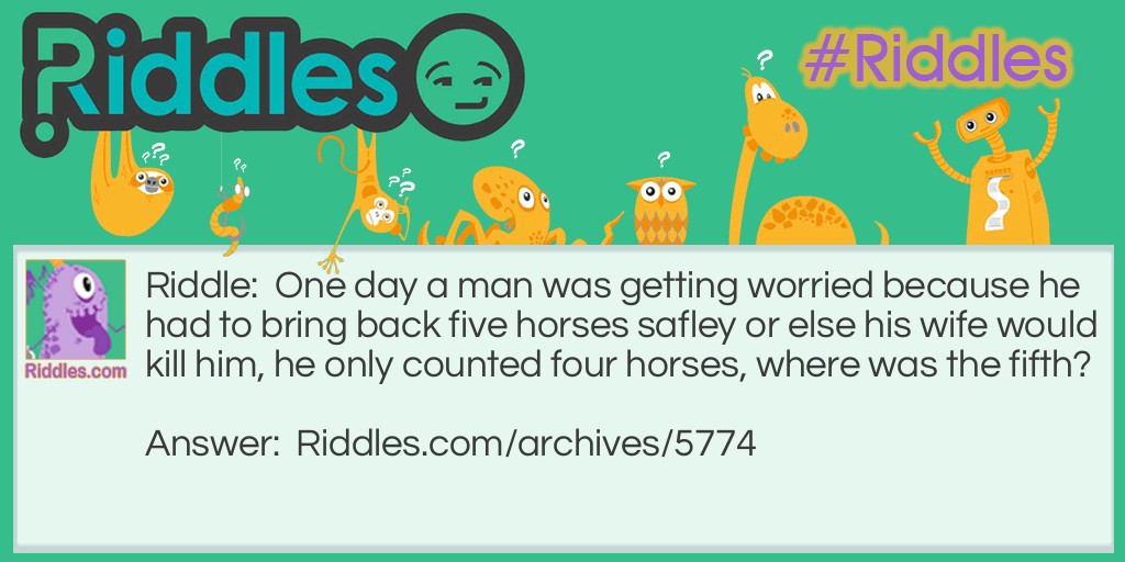Stupid horse Riddle Meme.