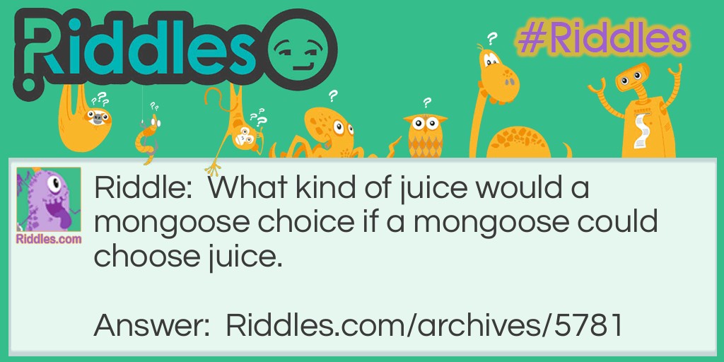 Mongoose Riddle Meme.