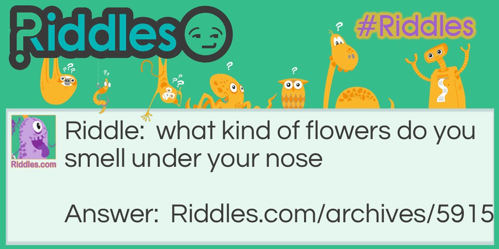 flowers Riddle Meme.
