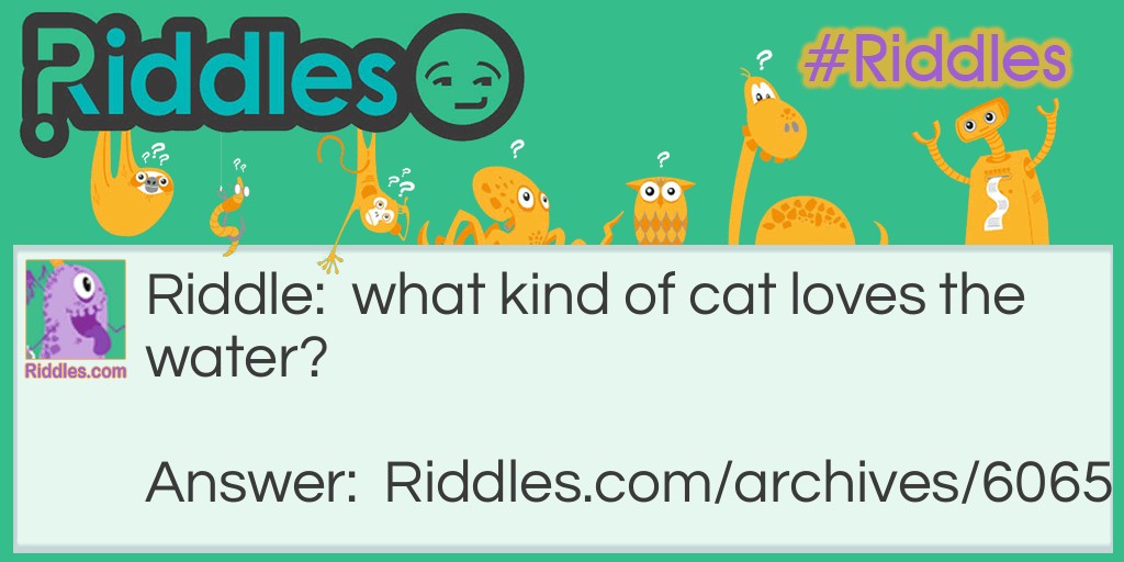 cat Riddle Meme.