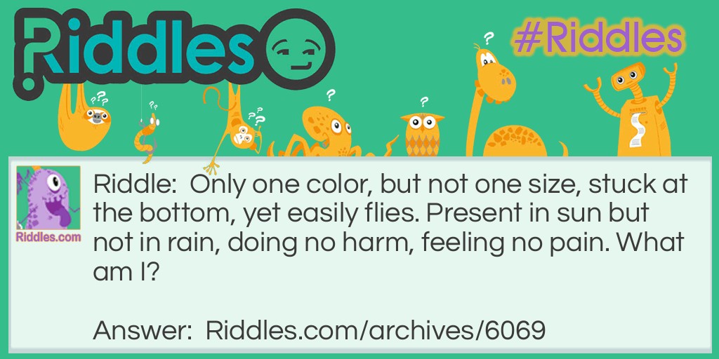 Only one color Riddle Meme.