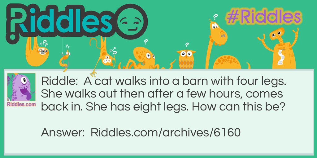The Cat With Eight Legs Riddle Meme.