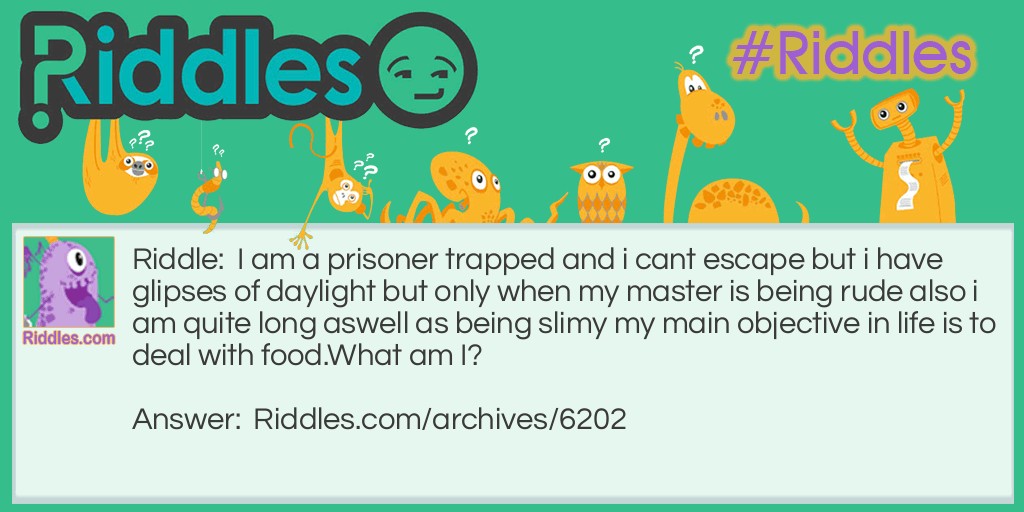 What am I? Riddle Meme.