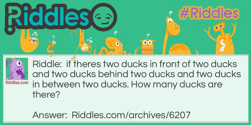 Ducks Riddle Meme.