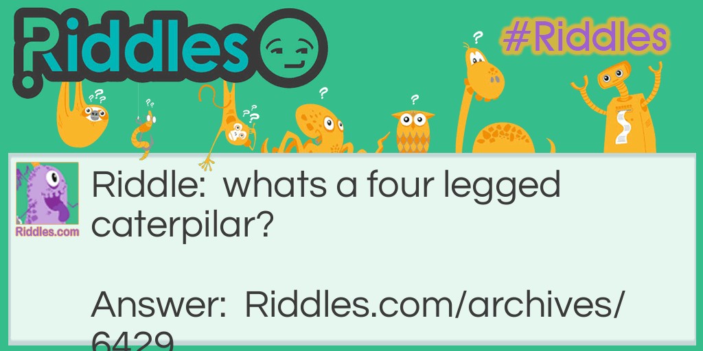                                                  Animals all over Riddle Meme.