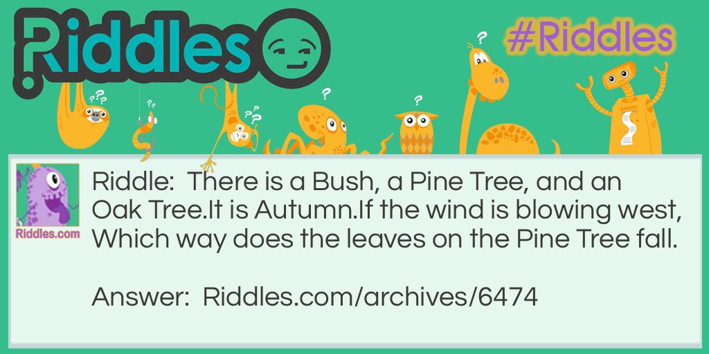Wind on The Pine Tree Riddle Meme.