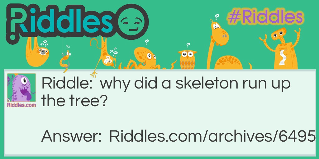 skeleton's fear Riddle Meme.