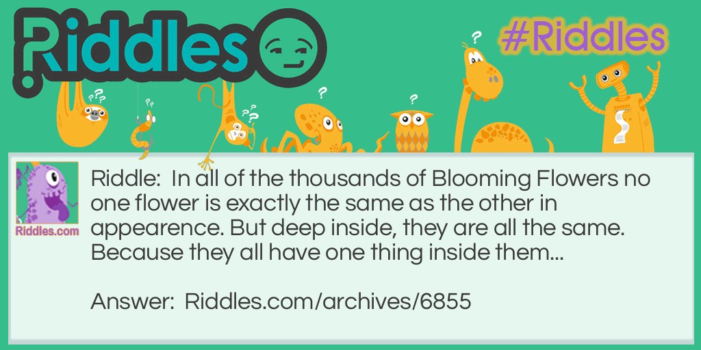 Blooming Flowers Riddle Meme.